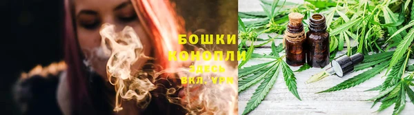 сатива Ельня