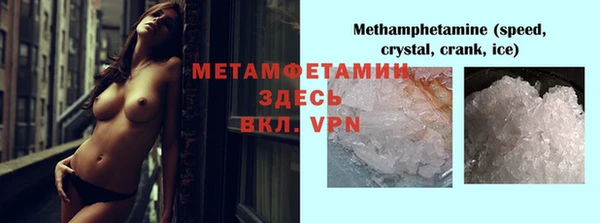 сатива Ельня