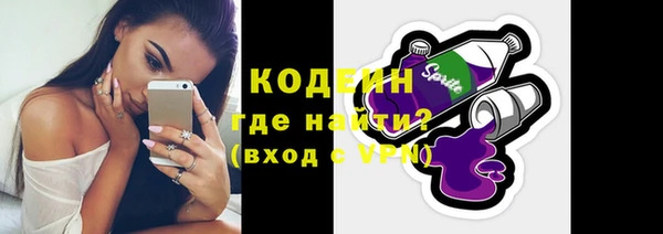 гашик Дмитриев