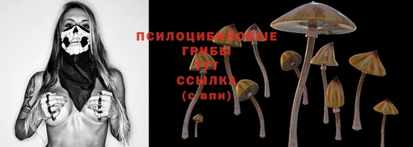 стафф Елизово