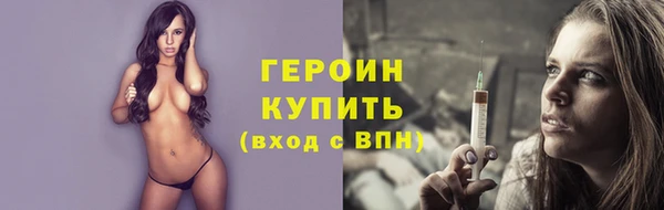 сатива Ельня