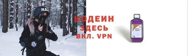сатива Ельня