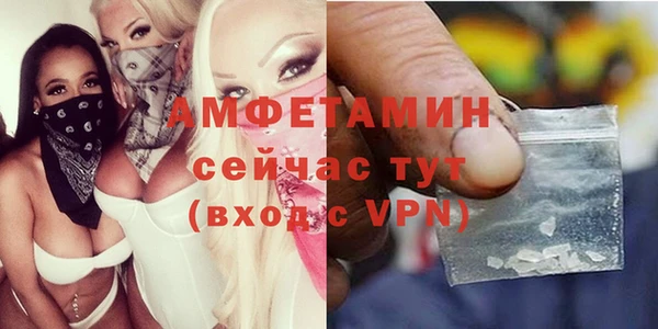 сатива Ельня