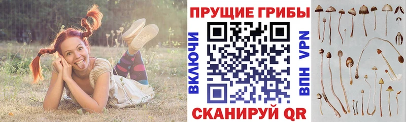 Галлюциногенные грибы мухоморы  Купить  Руза 
